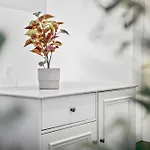 Luxomes - Modern Design - アパート インゴルシュタット